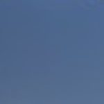 Profile photo of Morgan