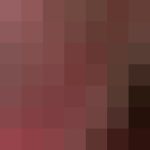 Profile photo of Shaun